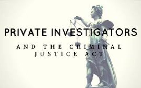 The Value of Private Investigators in Combatting Financial Fraud: A Growing Necessity in Nigeria’s Security Landscape