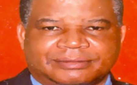 Celebrating Professor Emeritus Felix Ebhodaghe Okieimen: A Beacon of Academic Excellence