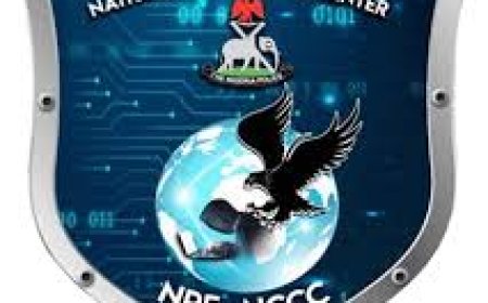NPF Cybercrime Unit Recovers N8Bn, Recognized as Best in Africa