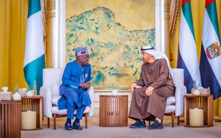 UAE President To Visit Nigeria This Year