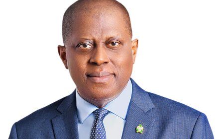CBN will build on FX, remittance reforms and diaspora engagement – Cardoso
