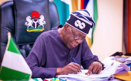 President Tinubu Appoints Ganduje, Morka, Afikuyomi, and Others as Board Chairpersons and CEOs