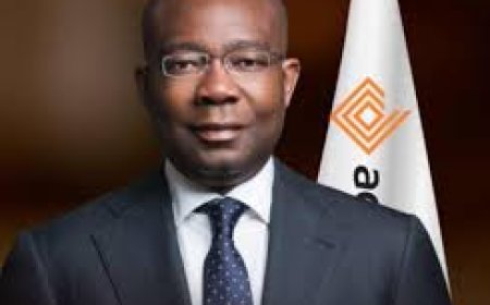 Access Bank Clinches THISDAY’s ‘Global Bank of the Year’ Award, Aig-Imoukhuede is Named ‘Titan of the Year’