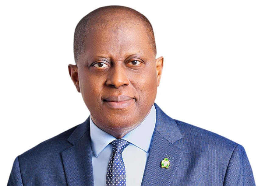 CBN will build on FX, remittance reforms and diaspora engagement – Cardoso