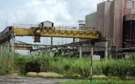Nigeria's Iron Ore and Steel Industry: Lessons from Germany's Industrial Success