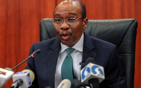 Court Orders Final Forfeiture of N830M, $4.7M, and Properties Linked to Emefiele