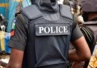 Police Arrest 35-Year-Old for Sexually Assaulting Minor in Adamawa
