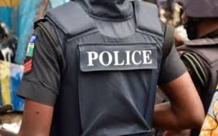 Police Arrest 35-Year-Old for Sexually Assaulting Minor in Adamawa