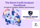 Mastering Bank Credit Analysis: Essential Insights for Analysts, Bankers, and Investors
