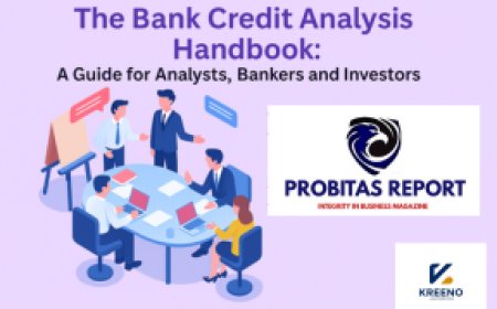 Mastering Bank Credit Analysis: Essential Insights for Analysts, Bankers, and Investors
