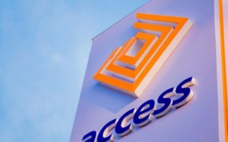 Access Holdings Records 88% Growth in Gross Earnings to N4.878 Trillion | Financial Results 2024