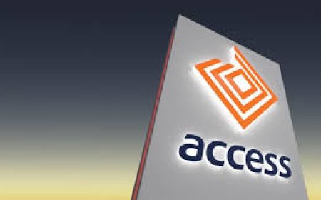 Access Holdings shareholders meet May 15 to consider a ‘’resilient performance’’
