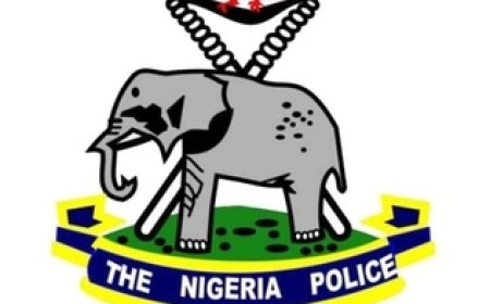 The Role of Professional Ethics in Law Enforcement: Safeguarding Justice, Integrity, and Public Trust