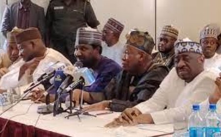 APC Stakeholders Assure Tinubu of Victory in Kano Ahead of 2027 Elections