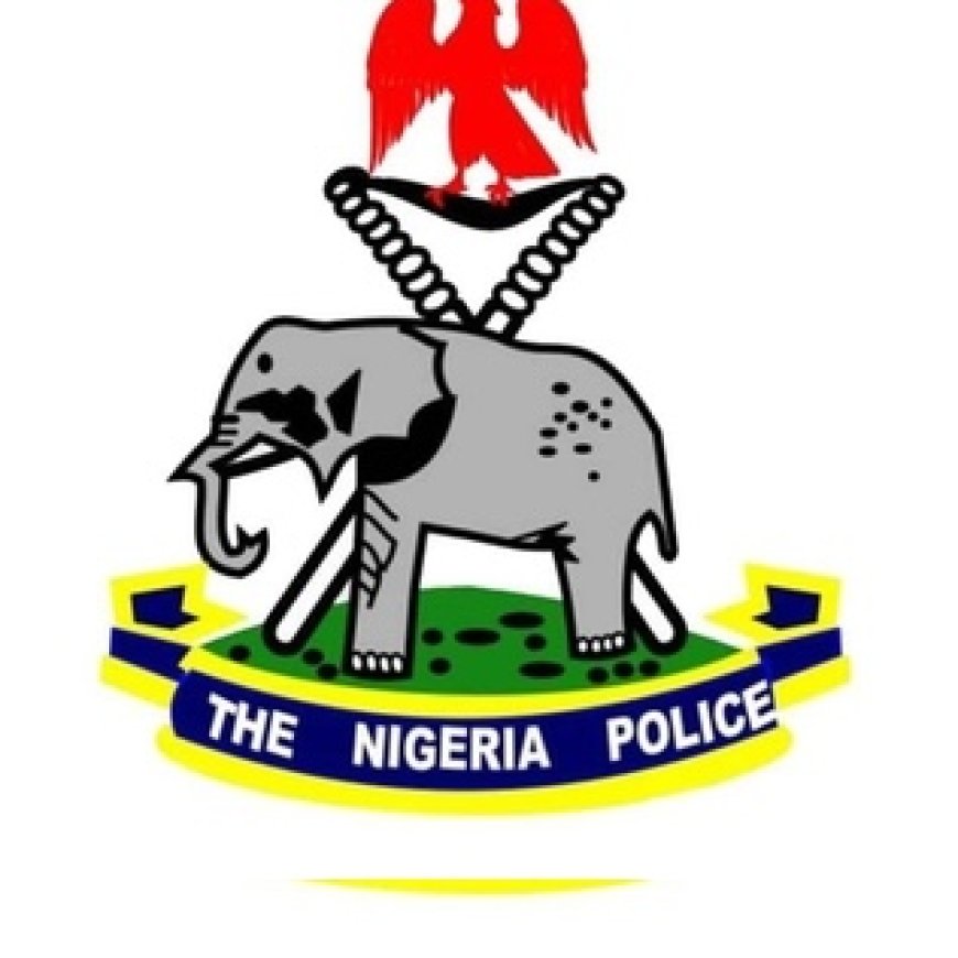 The Role of Professional Ethics in Law Enforcement: Safeguarding Justice, Integrity, and Public Trust