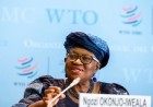 WTO: AI-Driven Demand and U.S. Import Surge Fuel Unexpected Rise in Global Goods Trade