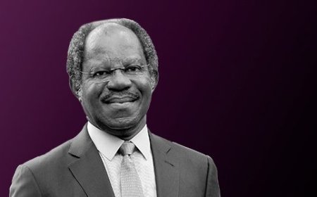 Ogunlesi Eyes Mega Investments in Nigeria’s Energy, Aviation, and Port Sectors