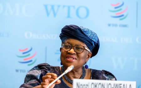 WTO: AI-Driven Demand and U.S. Import Surge Fuel Unexpected Rise in Global Goods Trade