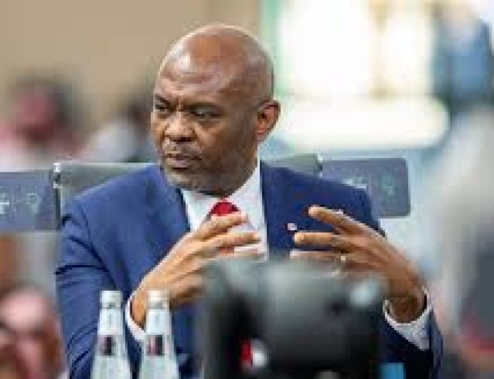 Tony Elumelu: Africa Must Bridge Its Power Gap to Harness Artificial Intelligence Potential