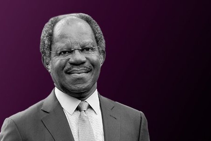Ogunlesi Eyes Mega Investments in Nigeria’s Energy, Aviation, and Port Sectors