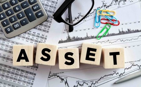 Tracing Stolen Assets: A Guide to Evidence Gathering and Financial Investigation