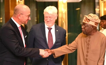 Nigeria’s Power Initiative Fuels Africa’s Industrial Growth