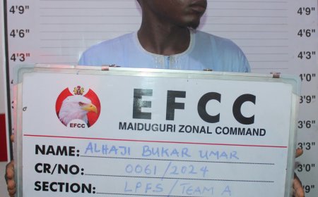 Court Sentences Man for Land Racketeering in Maiduguri | Latest Real Estate Fraud Judgment