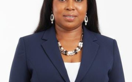 Attitude Toward In-Service Training and Mentoring as Predictors of Work Efficiency Among University Academic Staff in Southwest Nigeria