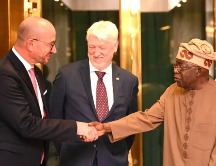 Nigeria’s Power Initiative Fuels Africa’s Industrial Growth