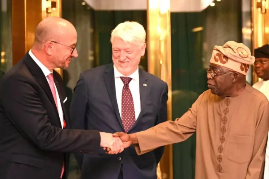 Nigeria’s Power Initiative Fuels Africa’s Industrial Growth