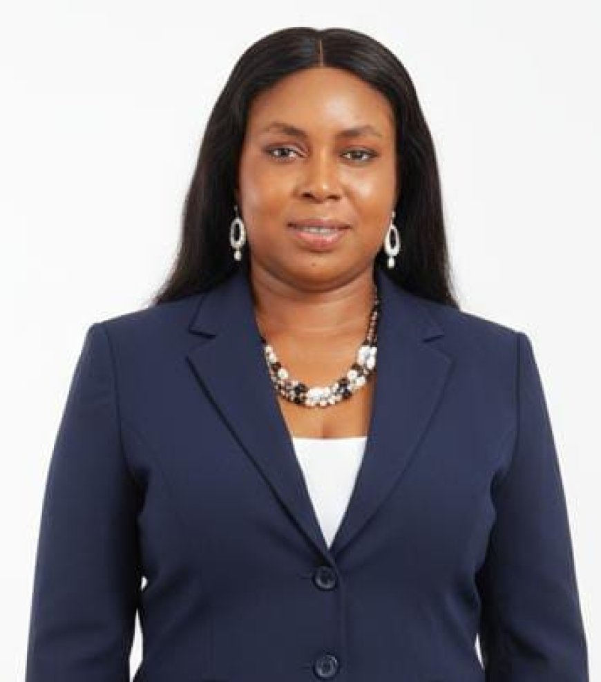 Attitude Toward In-Service Training and Mentoring as Predictors of Work Efficiency Among University Academic Staff in Southwest Nigeria