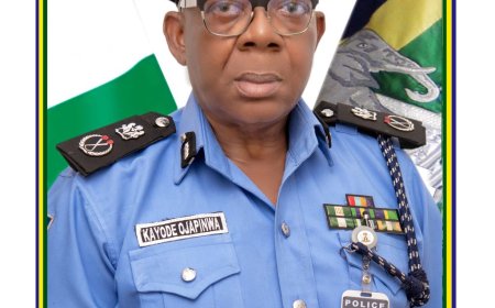 IGP Deploys CP Kayode Ojapinwa as Commissioner of Police, Police Special Fraud Unit Lagos