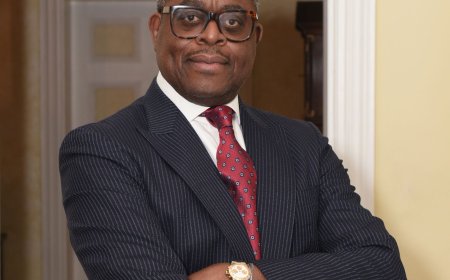 Remembering Bamofin Abimbola Olurotimi Ogunbanjo OFR Two Years On. Leadership and Institutional Legacy