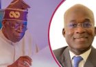 President Bola Ahmed Tinubu Appoints Lanre Babalola as Special Adviser on Power, Chairs Taskforce on Sector Reset