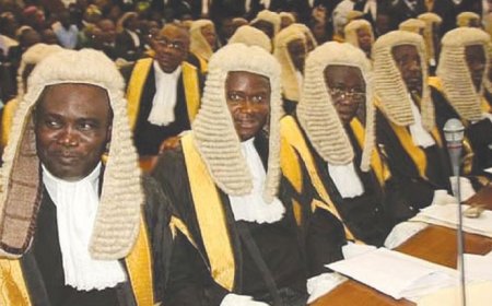 Lawyers Call for Stronger Global Cooperation to Combat Financial Crimes