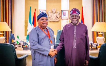 President Bola Ahmed Tinubu Nominates Joseph Olasunkanmi Tegbe as Minister of Power