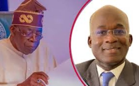 President Bola Ahmed Tinubu Appoints Lanre Babalola as Special Adviser on Power, Chairs Taskforce on Sector Reset
