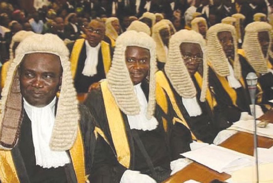 Lawyers Call for Stronger Global Cooperation to Combat Financial Crimes