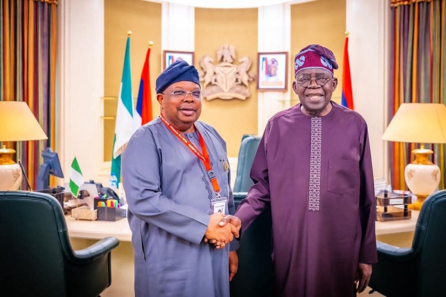 President Bola Ahmed Tinubu Nominates Joseph Olasunkanmi Tegbe as Minister of Power