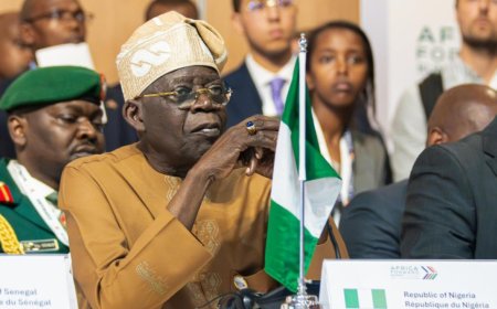 Nigeria - DRC Private Sector Partnership: A New Path for African Industrialisation and Economic Sovereignty