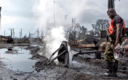 The Integrity Crisis in Nigeria's Oil and Gas Sector: Corruption, Oil Theft, Economic Losses and the Path to Reform