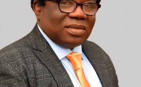 Professor Emmanuel Ayodeji Appointed Pioneer CEO of ABUAD Business School | A New Era for Executive Education