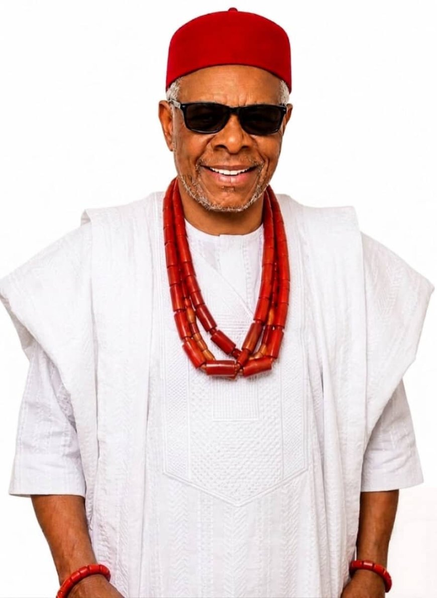 A Tribute to a Life Well Lived: Celebrating Mazi Okorie Iheukwumere's Legacy of Excellence, Service, and Integrity