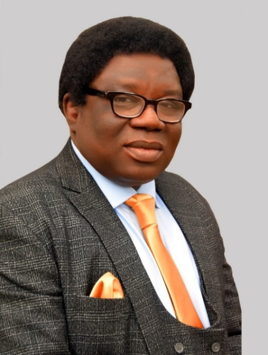 Professor Emmanuel Ayodeji Appointed Pioneer CEO of ABUAD Business School | A New Era for Executive Education