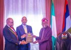 Protecting Africa's Mineral Value Chain Through Beneficiation Governance and Recovery Assurance