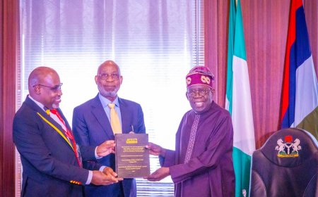 Protecting Africa's Mineral Value Chain Through Beneficiation Governance and Recovery Assurance