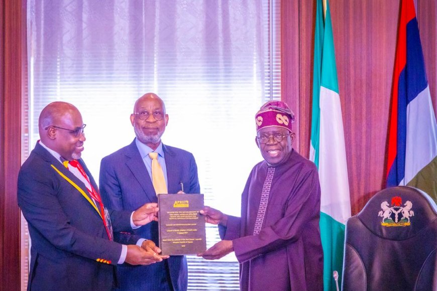 Protecting Africa's Mineral Value Chain Through Beneficiation Governance and Recovery Assurance