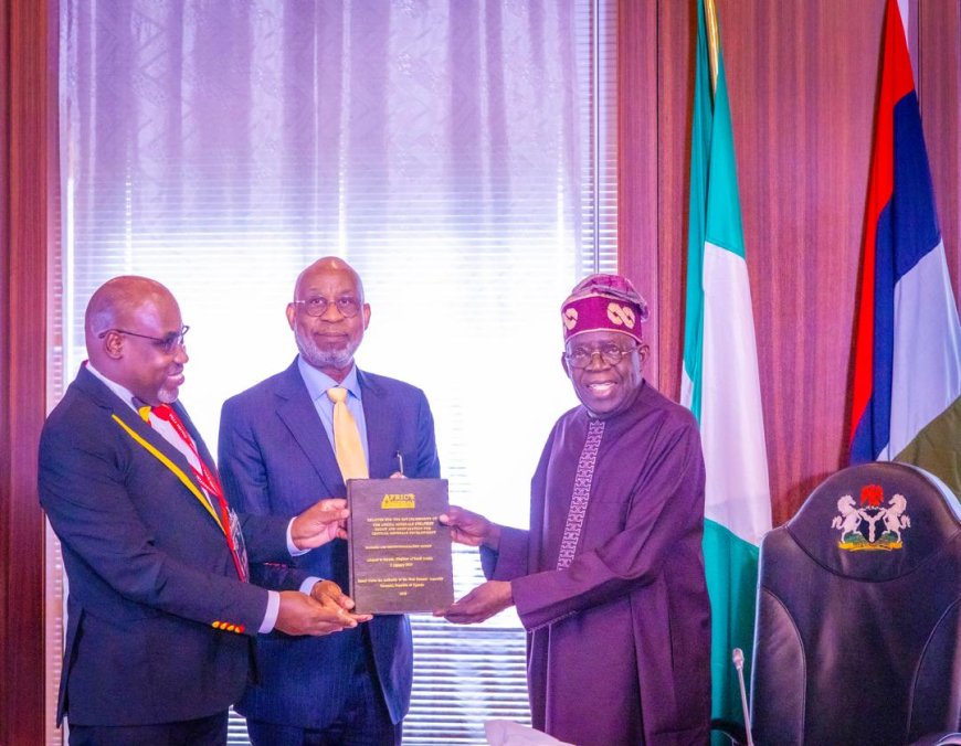 Protecting Africa's Mineral Value Chain Through Beneficiation Governance and Recovery Assurance